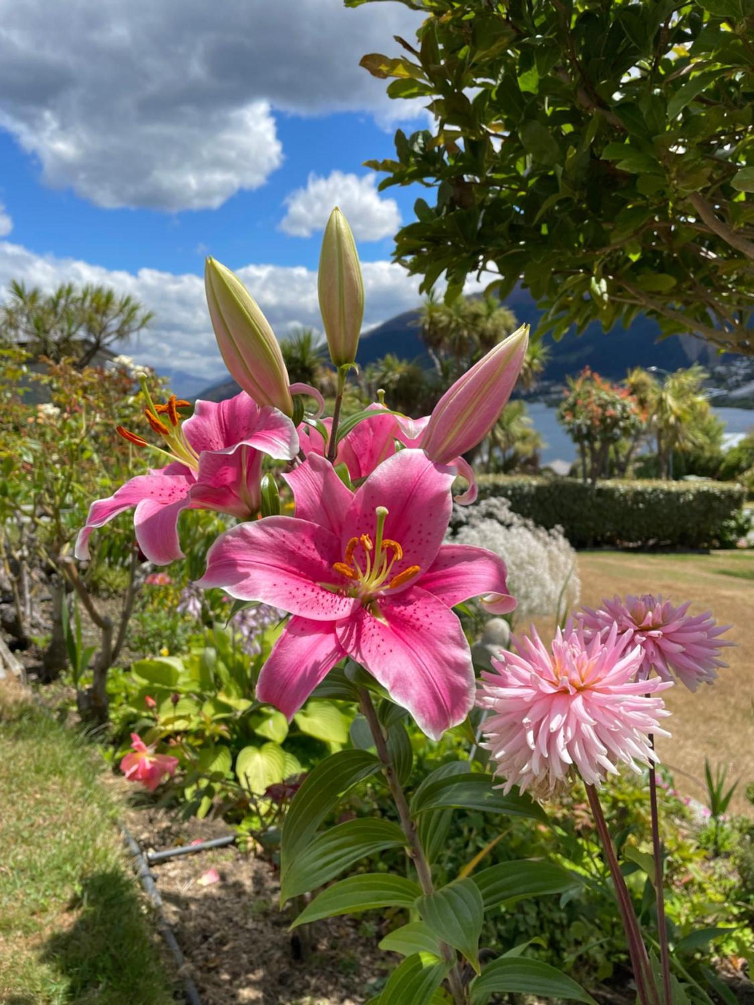 Kelvin Garden Villa Queenstown Eksteriør bilde